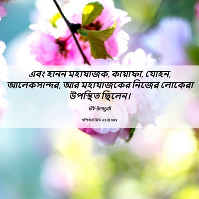 Picture 06 - पশিষ্যচরিত 4:6 BENIRV - এবং হানন মহাযাজক, - Bible Verse Picture