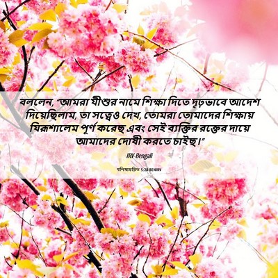 Picture 06 - पশিষ্যচরিত 5:28 BENIRV - বললেন, “আমরা যীশুর - Bible Verse Picture