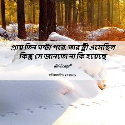 Picture 06 - पশিষ্যচরিত 5:7 BENIRV - প্রায় তিন ঘন্টা - Bible Verse Picture