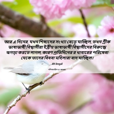 Picture 06 - पশিষ্যচরিত 6:1 BENIRV - আর এ দিনের, যখন - Bible Verse Picture