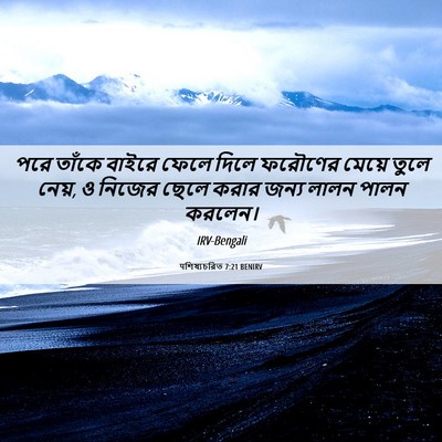 Picture 06 - पশিষ্যচরিত 7:21 BENIRV - পরে তাঁকে বাইরে - Bible Verse Picture