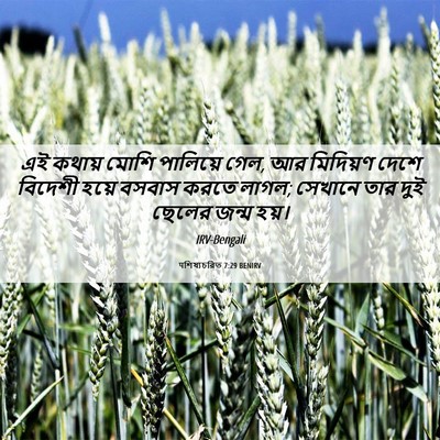 Picture 06 - पশিষ্যচরিত 7:29 BENIRV - এই কথায় মোশি - Bible Verse Picture