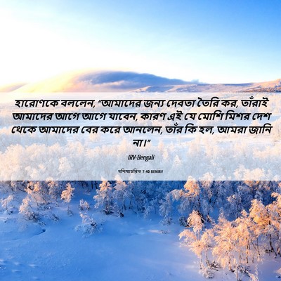 Picture 06 - पশিষ্যচরিত 7:40 BENIRV - হারোণকে বললেন, - Bible Verse Picture