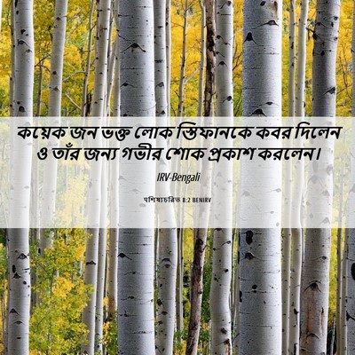 Picture 06 - पশিষ্যচরিত 8:2 BENIRV - কয়েক জন ভক্ত লোক - Bible Verse Picture