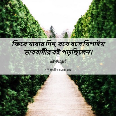 Picture 06 - पশিষ্যচরিত 8:28 BENIRV - ফিরে যাবার দিন, রথে - Bible Verse Picture