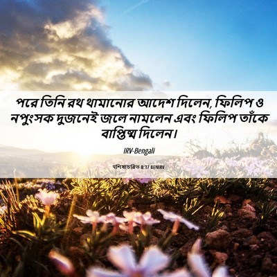 Picture 06 - पশিষ্যচরিত 8:37 BENIRV - পরে তিনি রথ - Bible Verse Picture