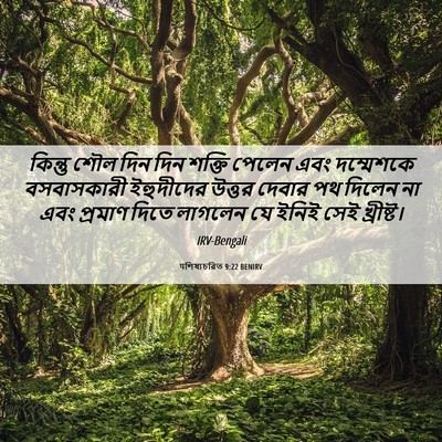 Picture 06 - पশিষ্যচরিত 9:22 BENIRV - কিন্তু শৌল দিন দিন - Bible Verse Picture