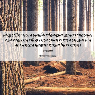 Picture 06 - पশিষ্যচরিত 9:24 BENIRV - কিন্তু শৌল তাদের - Bible Verse Picture