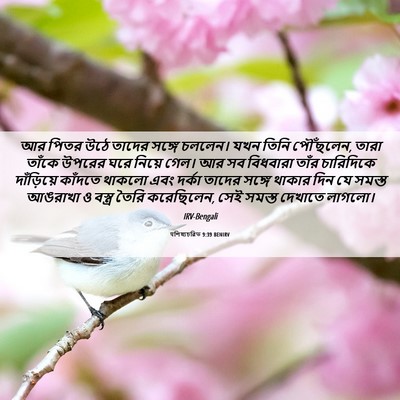 Picture 06 - पশিষ্যচরিত 9:39 BENIRV - আর পিতর উঠে তাদের - Bible Verse Picture