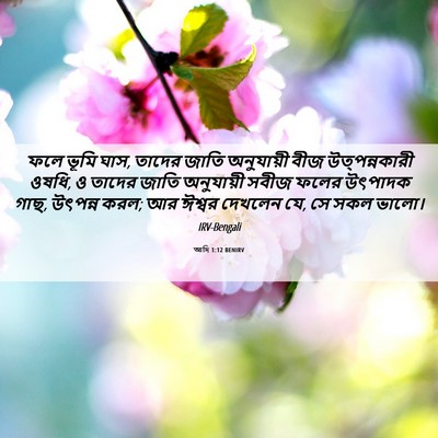 Picture 06 - আদি 1:12 BENIRV - ফলে ভূমি ঘাস, তাদের - Bible Verse Picture