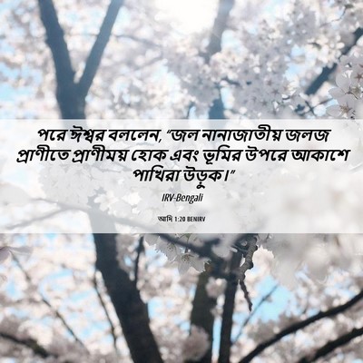 Picture 06 - আদি 1:20 BENIRV - পরে ঈশ্বর বললেন, - Bible Verse Picture