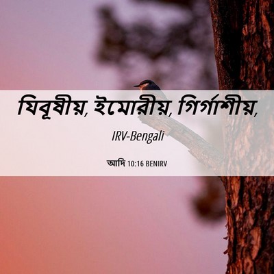 Picture 06 - আদি 10:16 BENIRV - যিবূষীয়, ইমোরীয়, - Bible Verse Picture