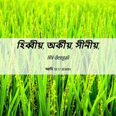 Picture 06 - আদি 10:17 BENIRV - হিব্বীয়, অর্কীয়, - Bible Verse Picture