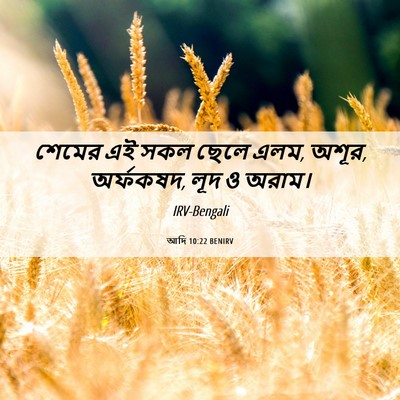 Picture 06 - আদি 10:22 BENIRV - শেমের এই সকল ছেলে - Bible Verse Picture