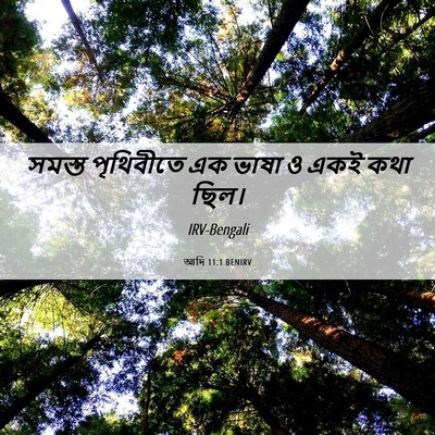 Picture 06 - আদি 11:1 BENIRV - সমস্ত পৃথিবীতে এক - Bible Verse Picture