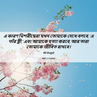 Picture 06 - আদি 12:12 BENIRV - এ কারণ মিশরীয়েরা - Bible Verse Picture