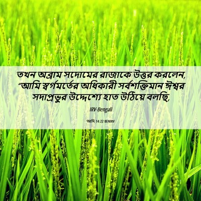 Picture 06 - আদি 14:22 BENIRV - তখন অব্রাম সদোমের - Bible Verse Picture
