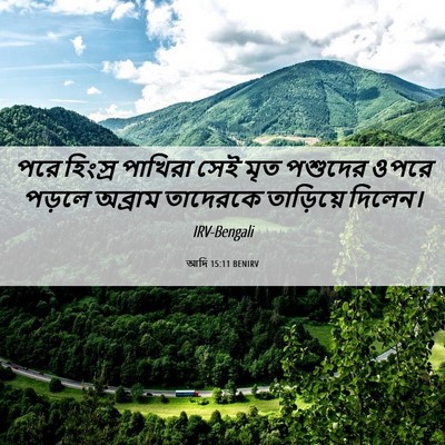 Picture 06 - আদি 15:11 BENIRV - পরে হিংস্র পাখিরা - Bible Verse Picture