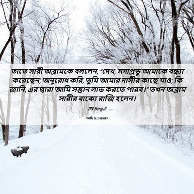 Picture 06 - আদি 16:2 BENIRV - তাতে সারী - Bible Verse Picture