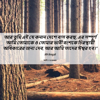 Picture 06 - আদি 17:8 BENIRV - আর তুমি এই যে কনান - Bible Verse Picture