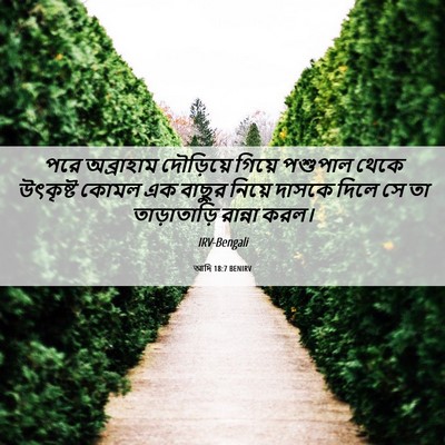 Picture 06 - আদি 18:7 BENIRV - পরে অব্রাহাম - Bible Verse Picture