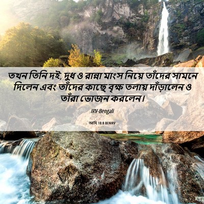 Picture 06 - আদি 18:8 BENIRV - তখন তিনি দই, দুধ ও - Bible Verse Picture