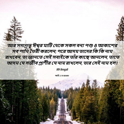 Picture 06 - আদি 2:19 BENIRV - আর সদাপ্রভু ঈশ্বর - Bible Verse Picture