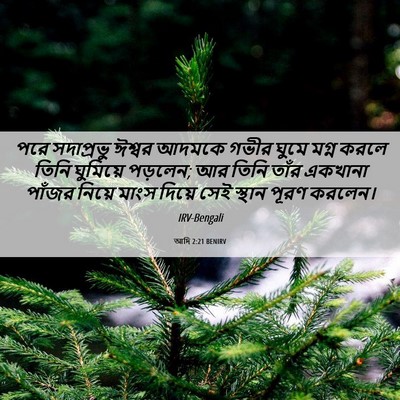 Picture 06 - আদি 2:21 BENIRV - পরে সদাপ্রভু - Bible Verse Picture