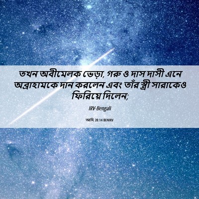Picture 06 - আদি 20:14 BENIRV - তখন অবীমেলক ভেড়া, - Bible Verse Picture