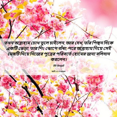 Picture 06 - আদি 22:13 BENIRV - তখন অব্রাহাম চোখ - Bible Verse Picture