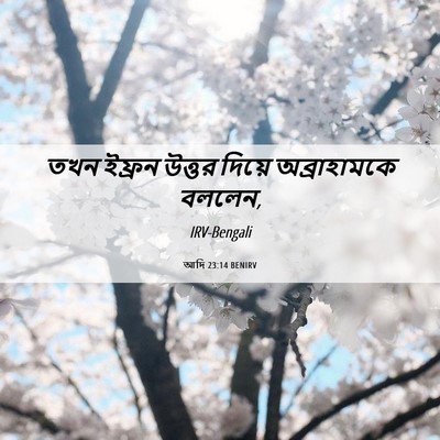 Picture 06 - আদি 23:14 BENIRV - তখন ইফ্রন উত্তর - Bible Verse Picture