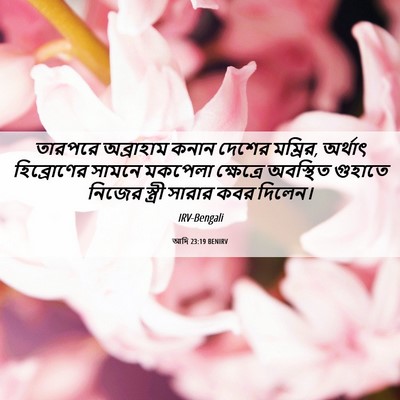 Picture 06 - আদি 23:19 BENIRV - তারপরে অব্রাহাম - Bible Verse Picture
