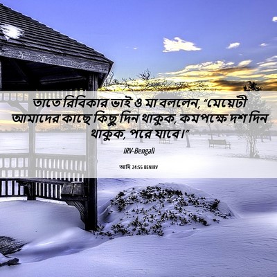 Picture 06 - আদি 24:55 BENIRV - তাতে রিবিকার ভাই ও - Bible Verse Picture