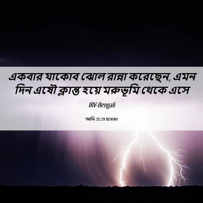 Picture 06 - আদি 25:29 BENIRV - একবার যাকোব ঝোল - Bible Verse Picture