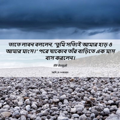Picture 06 - আদি 29:14 BENIRV - তাতে লাবন বললেন, - Bible Verse Picture
