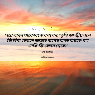 Picture 06 - আদি 29:15 BENIRV - পরে লাবন যাকোবকে - Bible Verse Picture