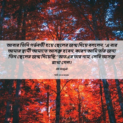 Picture 06 - আদি 29:34 BENIRV - আবার তিনি গর্ভবতী - Bible Verse Picture