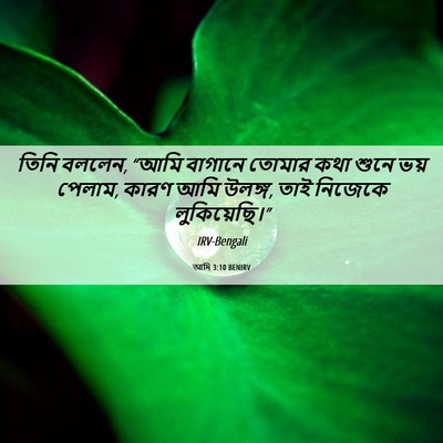 Picture 06 - আদি 3:10 BENIRV - তিনি বললেন, “আমি - Bible Verse Picture