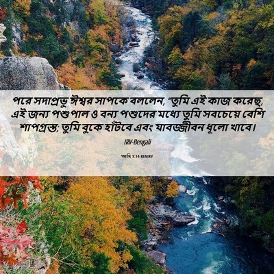 Picture 06 - আদি 3:14 BENIRV - পরে সদাপ্রভু - Bible Verse Picture
