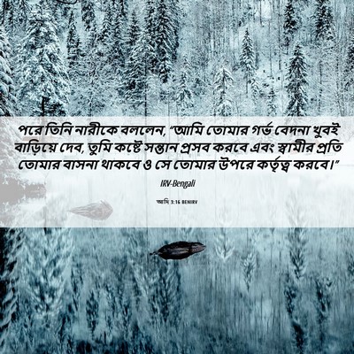 Picture 06 - আদি 3:16 BENIRV - পরে তিনি নারীকে - Bible Verse Picture