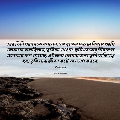 Picture 06 - আদি 3:17 BENIRV - আর তিনি আদমকে - Bible Verse Picture