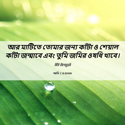 Picture 06 - আদি 3:18 BENIRV - আর মাটিতে তোমার - Bible Verse Picture