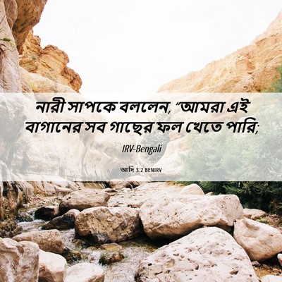 Picture 06 - আদি 3:2 BENIRV - নারী সাপকে বললেন, - Bible Verse Picture