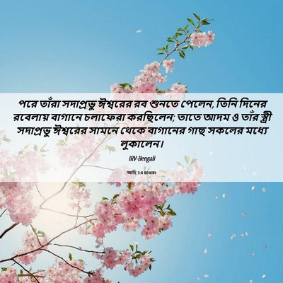 Picture 06 - আদি 3:8 BENIRV - পরে তাঁরা - Bible Verse Picture