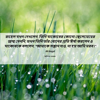 Picture 06 - আদি 30:1 BENIRV - রাহেল যখন দেখলেন, - Bible Verse Picture
