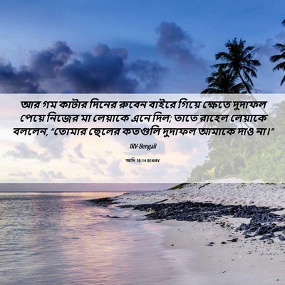 Picture 06 - আদি 30:14 BENIRV - আর গম কাটার দিনের - Bible Verse Picture