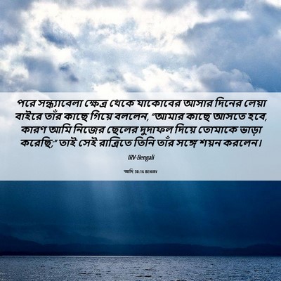 Picture 06 - আদি 30:16 BENIRV - পরে সন্ধ্যাবেলা - Bible Verse Picture