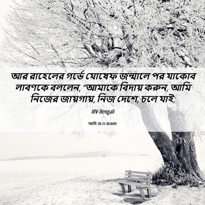 Picture 06 - আদি 30:25 BENIRV - আর রাহেলের গর্ভে - Bible Verse Picture