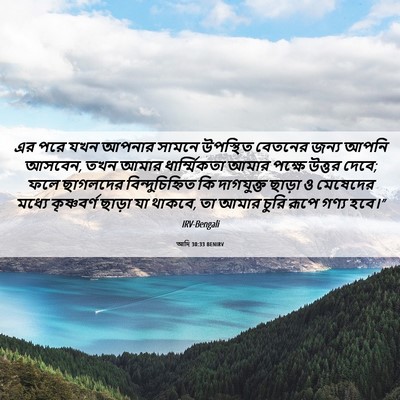 Picture 06 - আদি 30:33 BENIRV - এর পরে যখন আপনার - Bible Verse Picture