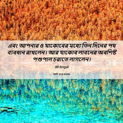 Picture 06 - আদি 30:36 BENIRV - এবং আপনার ও - Bible Verse Picture